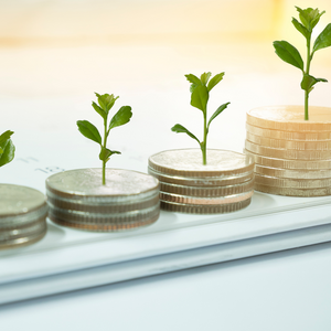 aktuelle Fördermittel