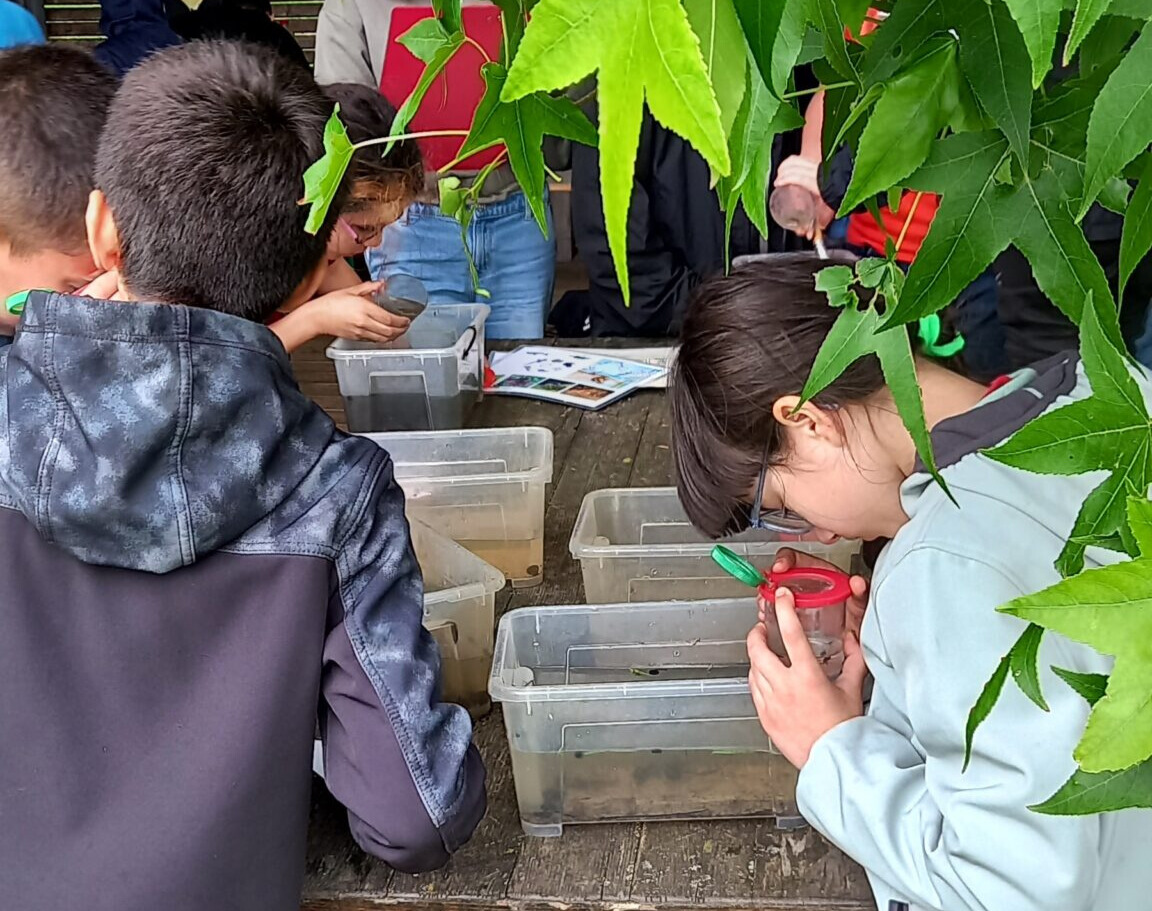 Kinder im Grünen Klassenzimmer